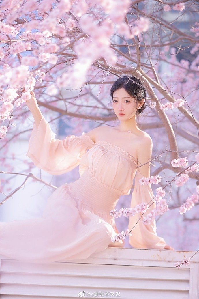 蜜云影视网